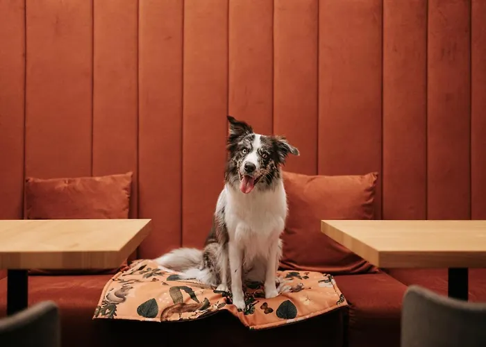 Vislow Aparthotel Wisła