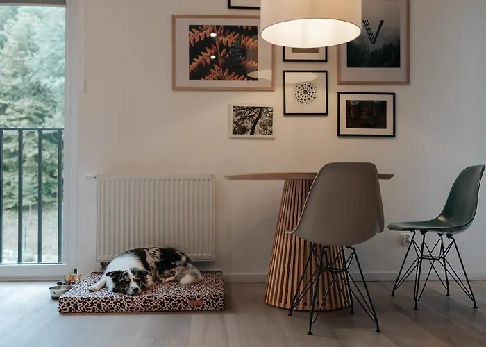 Aparthotel Vislow 4*