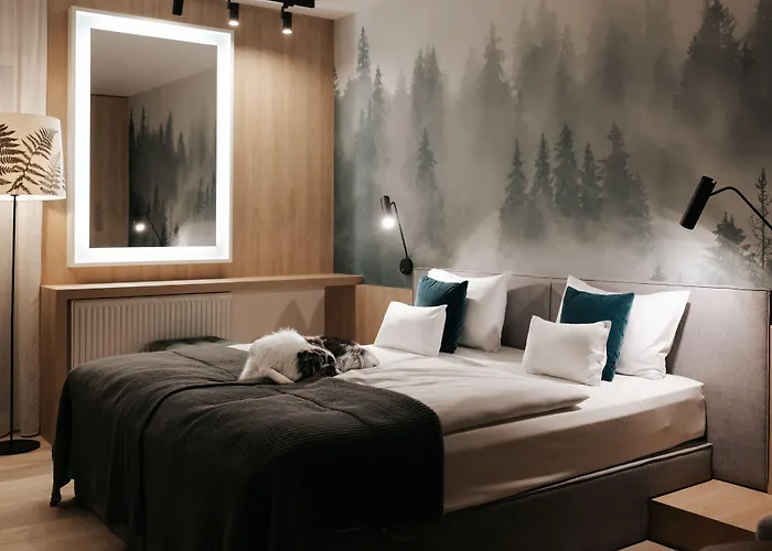 Aparthotel Vislow Visla